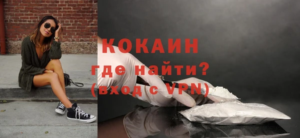 шишки Вяземский