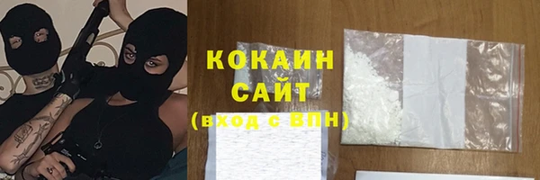 шишки Вяземский