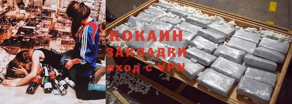 шишки Вяземский