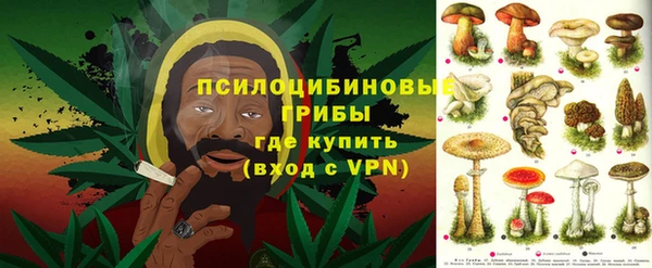 шишки Вяземский