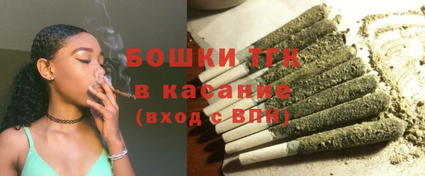 шишки Вяземский