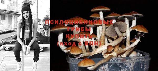 Альфа ПВП Снежногорск