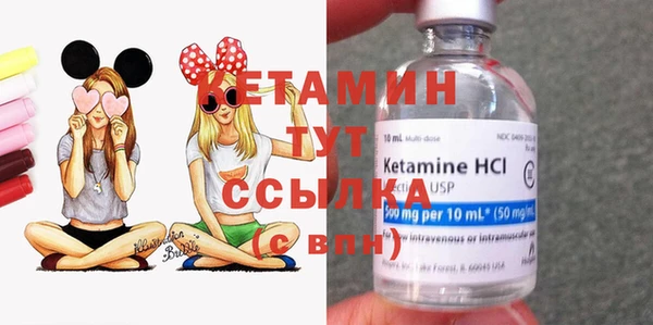 шишки Вяземский