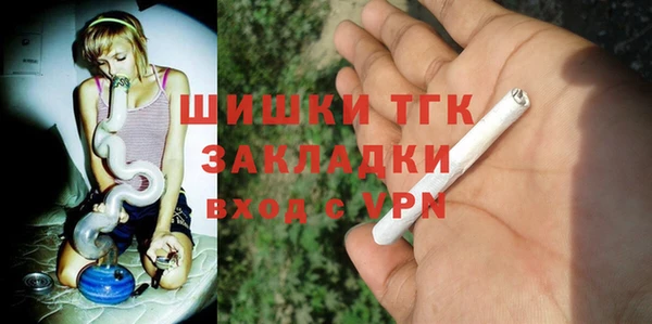 шишки Вяземский